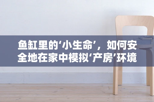 鱼缸里的‘小生命’，如何安全地在家中模拟‘产房’环境？