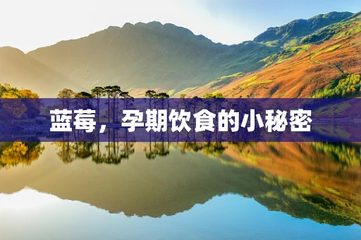 蓝莓，孕期饮食的小秘密