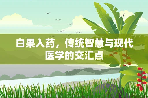 白果入药，传统智慧与现代医学的交汇点