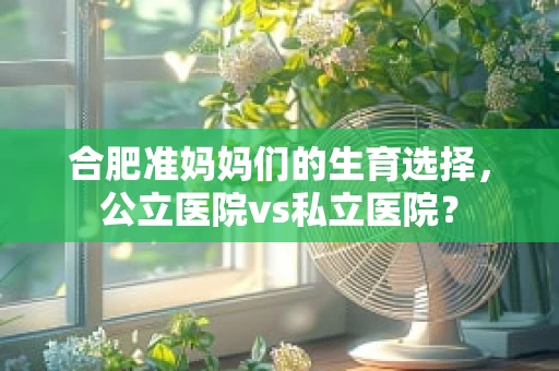 合肥准妈妈们的生育选择，公立医院vs私立医院？