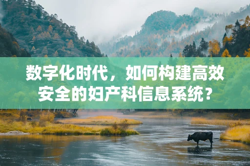 数字化时代，如何构建高效安全的妇产科信息系统？