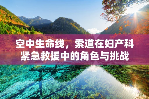 空中生命线，索道在妇产科紧急救援中的角色与挑战