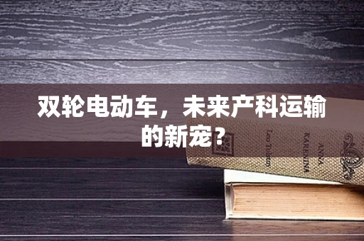 双轮电动车，未来产科运输的新宠？