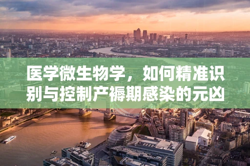 医学微生物学，如何精准识别与控制产褥期感染的元凶？