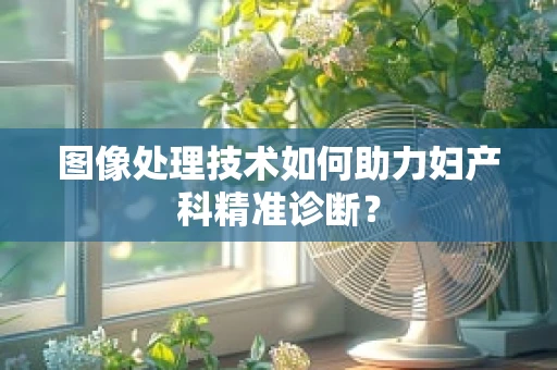 图像处理技术如何助力妇产科精准诊断？