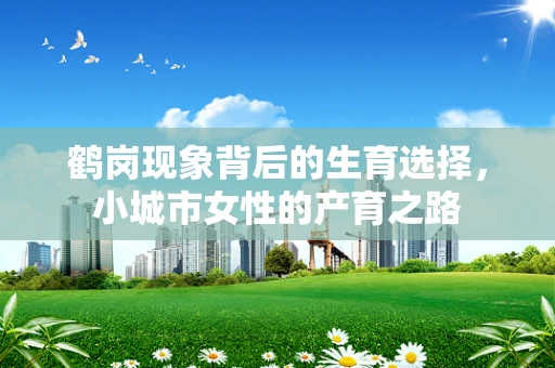 鹤岗现象背后的生育选择，小城市女性的产育之路