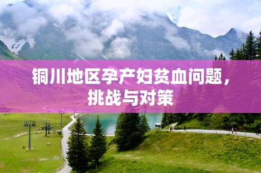 铜川地区孕产妇贫血问题，挑战与对策