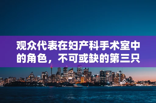观众代表在妇产科手术室中的角色，不可或缺的第三只眼？