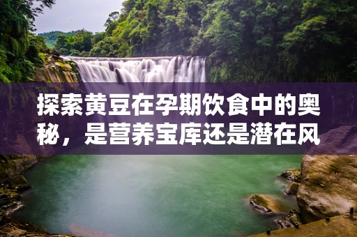 探索黄豆在孕期饮食中的奥秘，是营养宝库还是潜在风险？