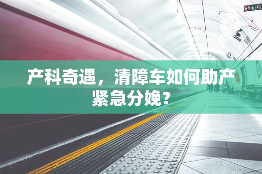 产科奇遇，清障车如何助产紧急分娩？