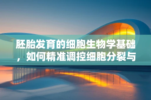 胚胎发育的细胞生物学基础，如何精准调控细胞分裂与分化？