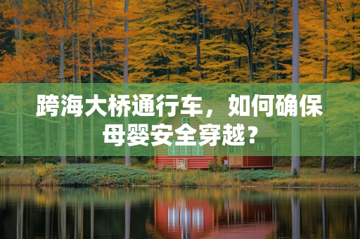 跨海大桥通行车，如何确保母婴安全穿越？