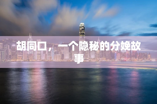 胡同口，一个隐秘的分娩故事