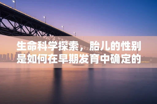 生命科学探索，胎儿的性别是如何在早期发育中确定的？