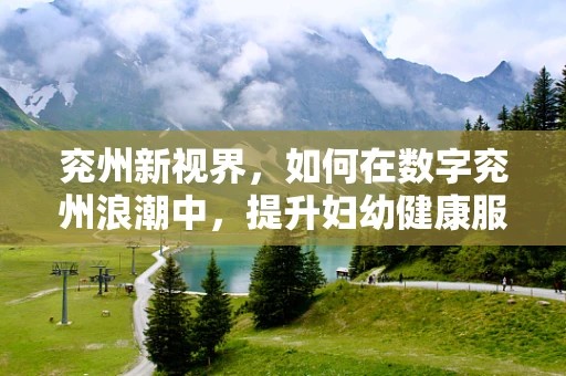 兖州新视界，如何在数字兖州浪潮中，提升妇幼健康服务效率？