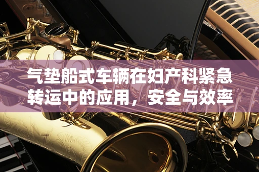 气垫船式车辆在妇产科紧急转运中的应用，安全与效率的平衡？