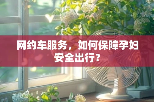 网约车服务，如何保障孕妇安全出行？