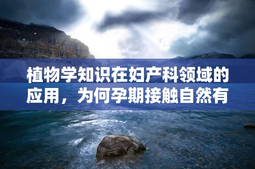 植物学知识在妇产科领域的应用，为何孕期接触自然有益？