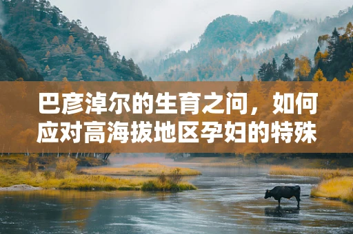 巴彦淖尔的生育之问，如何应对高海拔地区孕妇的特殊挑战？
