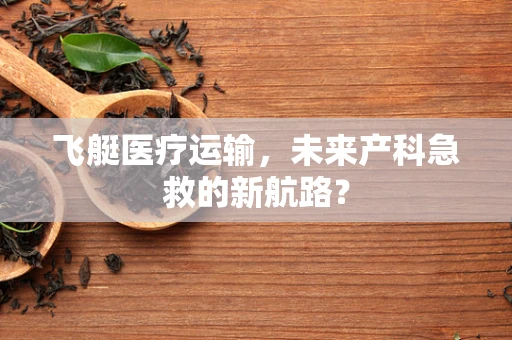 飞艇医疗运输，未来产科急救的新航路？