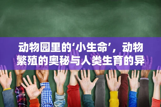 动物园里的‘小生命’，动物繁殖的奥秘与人类生育的异同