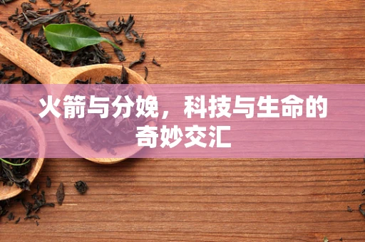 火箭与分娩，科技与生命的奇妙交汇