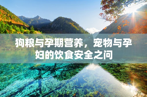 狗粮与孕期营养，宠物与孕妇的饮食安全之问