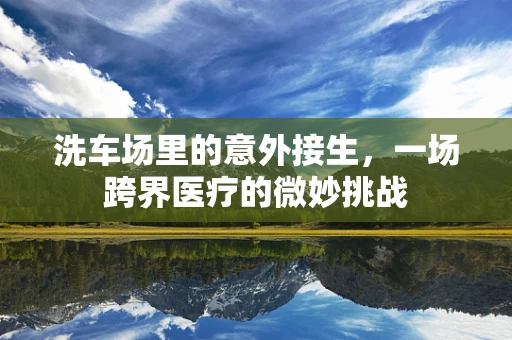洗车场里的意外接生，一场跨界医疗的微妙挑战
