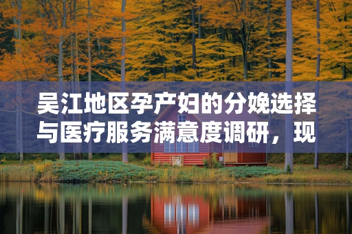 吴江地区孕产妇的分娩选择与医疗服务满意度调研，现状与挑战