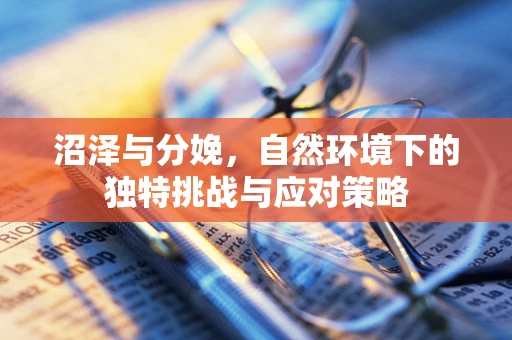沼泽与分娩，自然环境下的独特挑战与应对策略