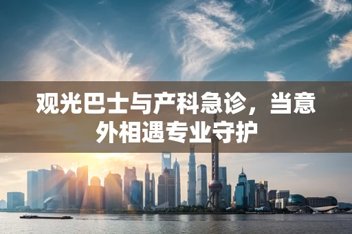 观光巴士与产科急诊，当意外相遇专业守护