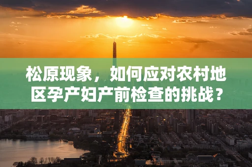 松原现象，如何应对农村地区孕产妇产前检查的挑战？