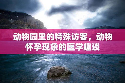 动物园里的特殊访客，动物怀孕现象的医学趣谈
