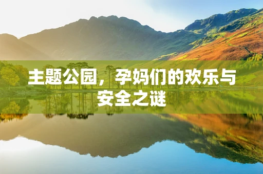 主题公园，孕妈们的欢乐与安全之谜