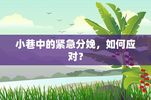 小巷中的紧急分娩，如何应对？