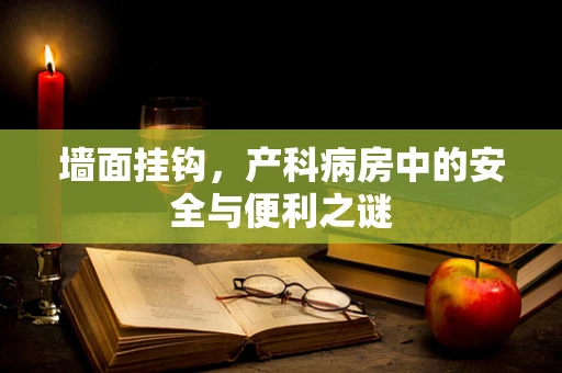 墙面挂钩，产科病房中的安全与便利之谜