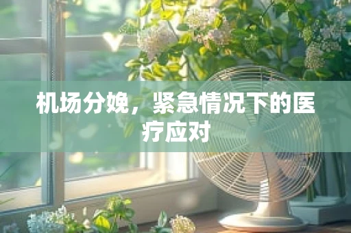 机场分娩，紧急情况下的医疗应对