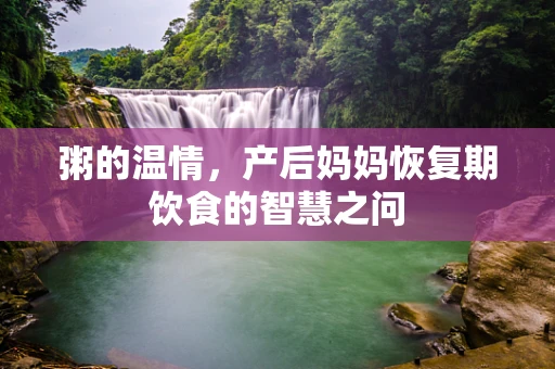 粥的温情，产后妈妈恢复期饮食的智慧之问