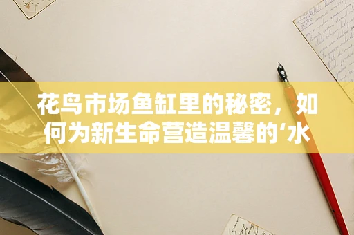 花鸟市场鱼缸里的秘密，如何为新生命营造温馨的‘水世界’？