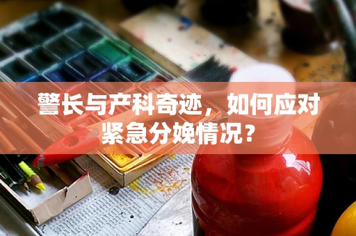 警长与产科奇迹，如何应对紧急分娩情况？
