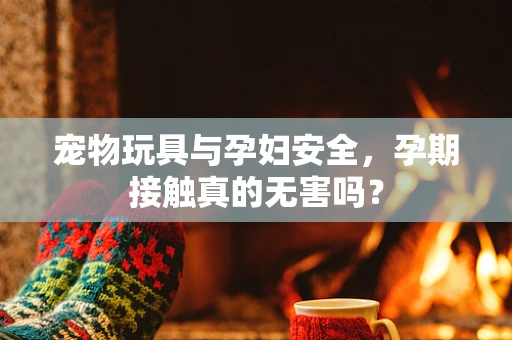 宠物玩具与孕妇安全，孕期接触真的无害吗？