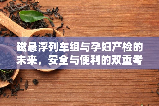磁悬浮列车组与孕妇产检的未来，安全与便利的双重考量？