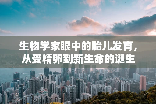 生物学家眼中的胎儿发育，从受精卵到新生命的诞生