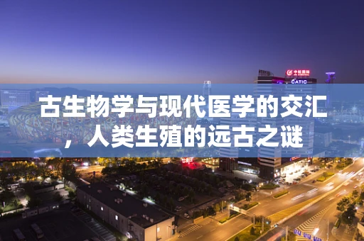 古生物学与现代医学的交汇，人类生殖的远古之谜
