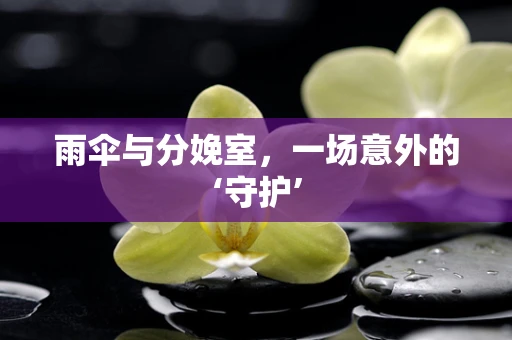 雨伞与分娩室，一场意外的‘守护’