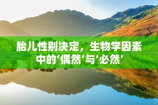 胎儿性别决定，生物学因素中的‘偶然’与‘必然’