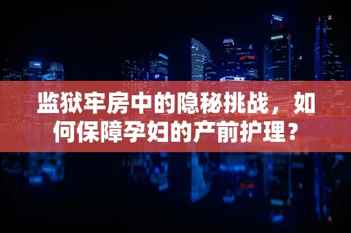 监狱牢房中的隐秘挑战，如何保障孕妇的产前护理？