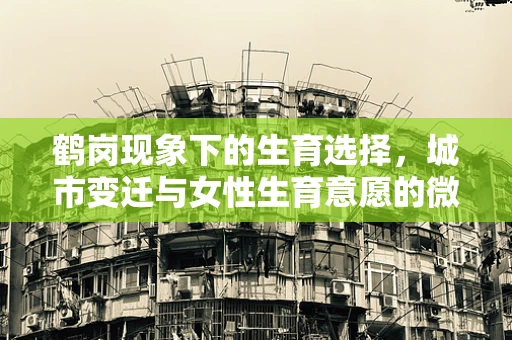 鹤岗现象下的生育选择，城市变迁与女性生育意愿的微妙平衡