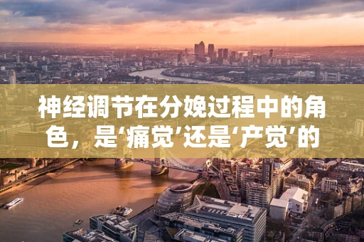 神经调节在分娩过程中的角色，是‘痛觉’还是‘产觉’的胜利？