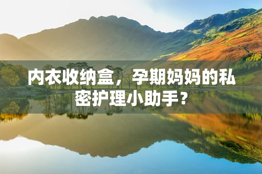 内衣收纳盒，孕期妈妈的私密护理小助手？